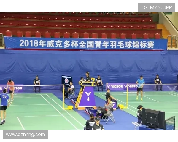 南京羽毛球队在全国锦标赛中的奋斗与突破之路全景回顾 南京羽毛球队在全国锦标赛中的奋斗与突破之路全景回顾