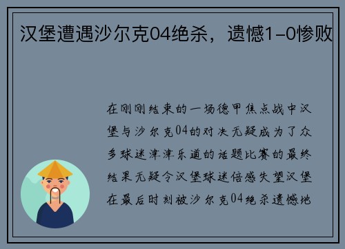 汉堡遭遇沙尔克04绝杀，遗憾1-0惨败