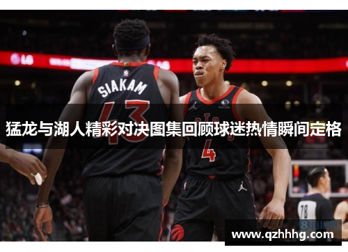 猛龙与湖人精彩对决图集回顾球迷热情瞬间定格